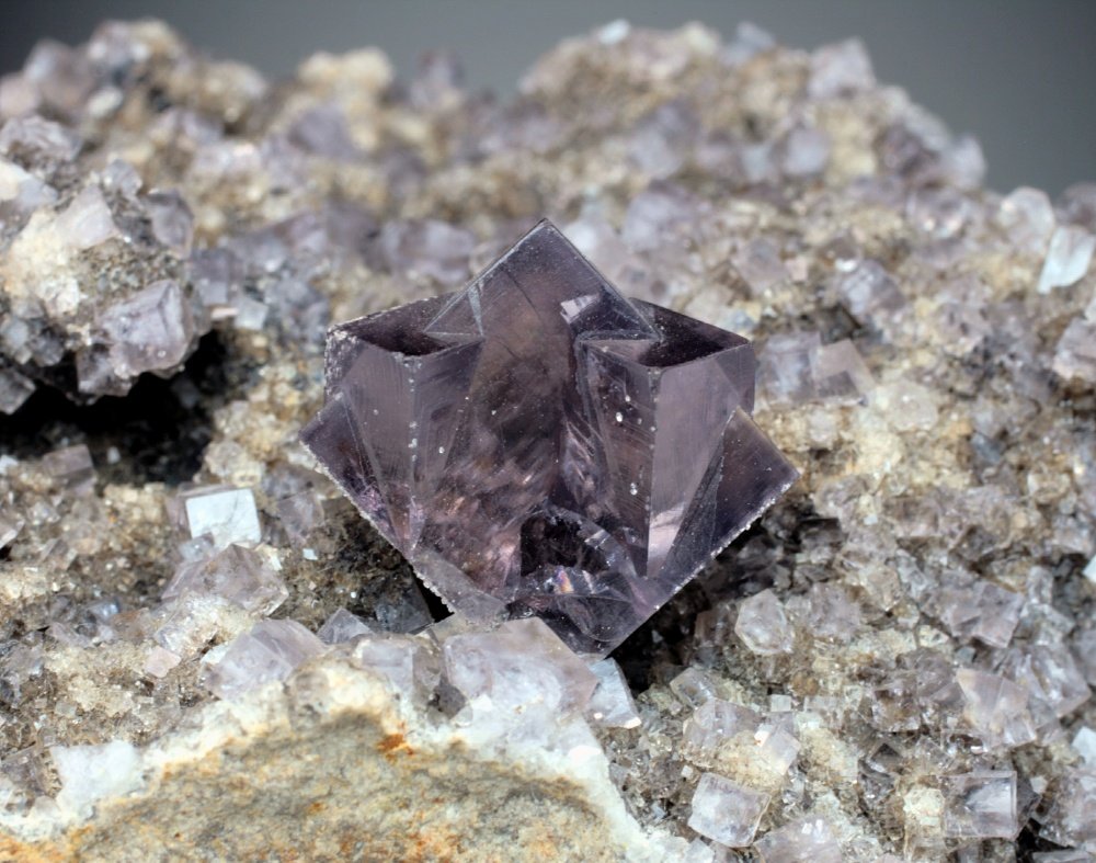 Fluorite
crystal is 2.2 cm across
(Autor: Jesse Fisher)