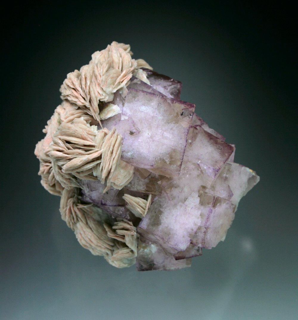 Fluorite with Barite
7x6x5 cm overall size
(Autor: Jesse Fisher)