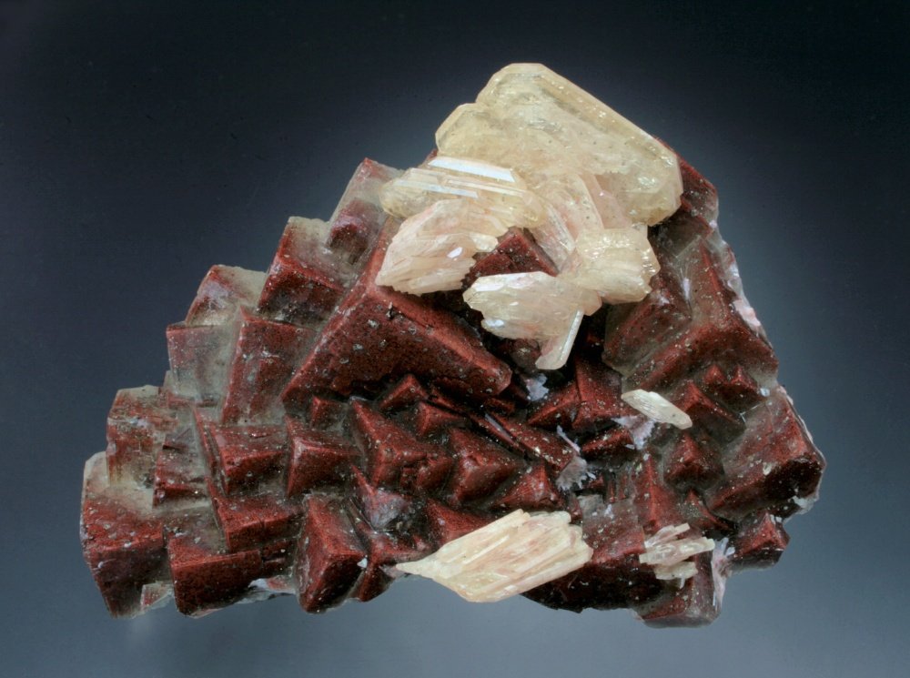 Fluorite with Barite
12x7x4 cm overall size
(Autor: Jesse Fisher)