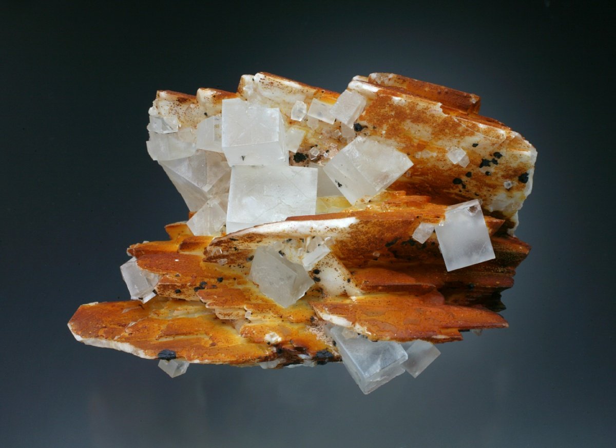 Fluorite with Barite
10x6x5 cm overall size
(Autor: Jesse Fisher)