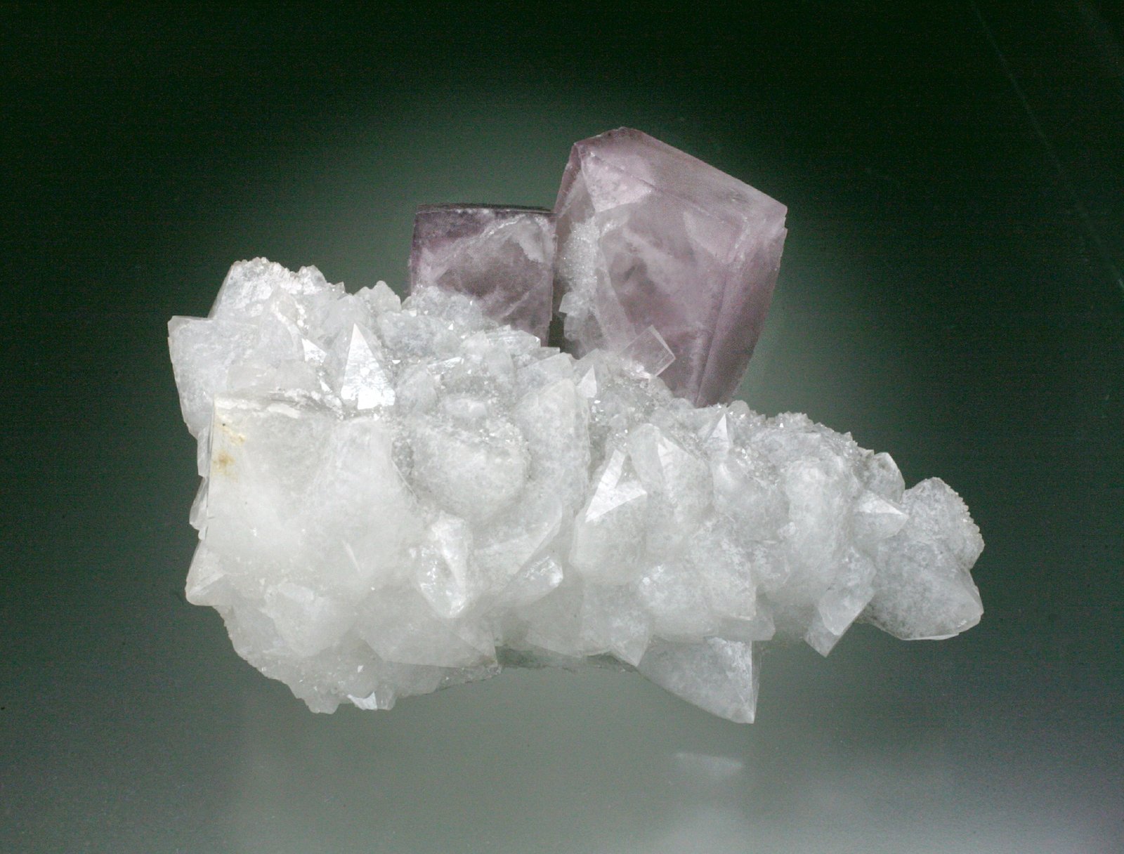 Fluorite on Quartz
12x6x4 cm
(Autor: Jesse Fisher)