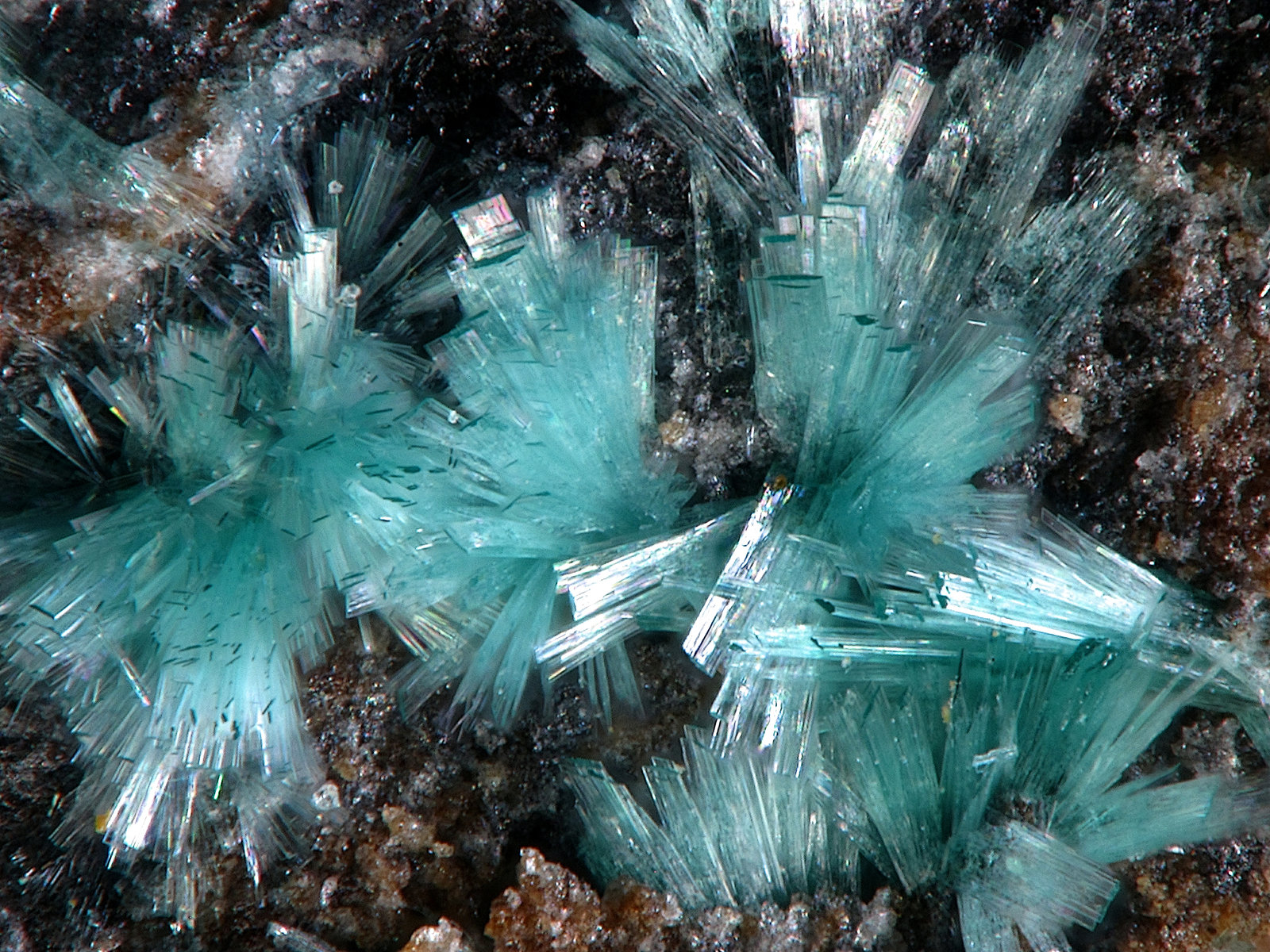 Fehrite
FOV 1,7 mm
(Autor: Firmo Espinar)