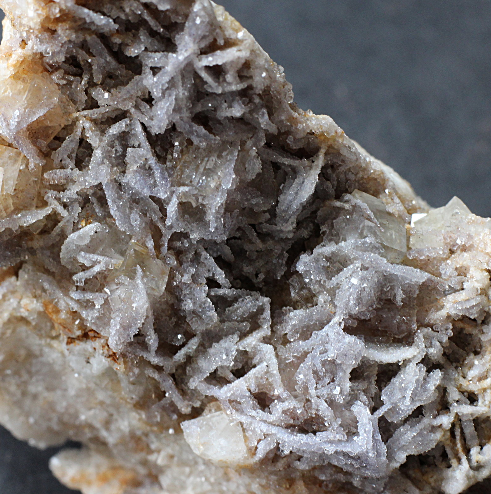 Fluorite
2cm
(Autor: colin robinson)