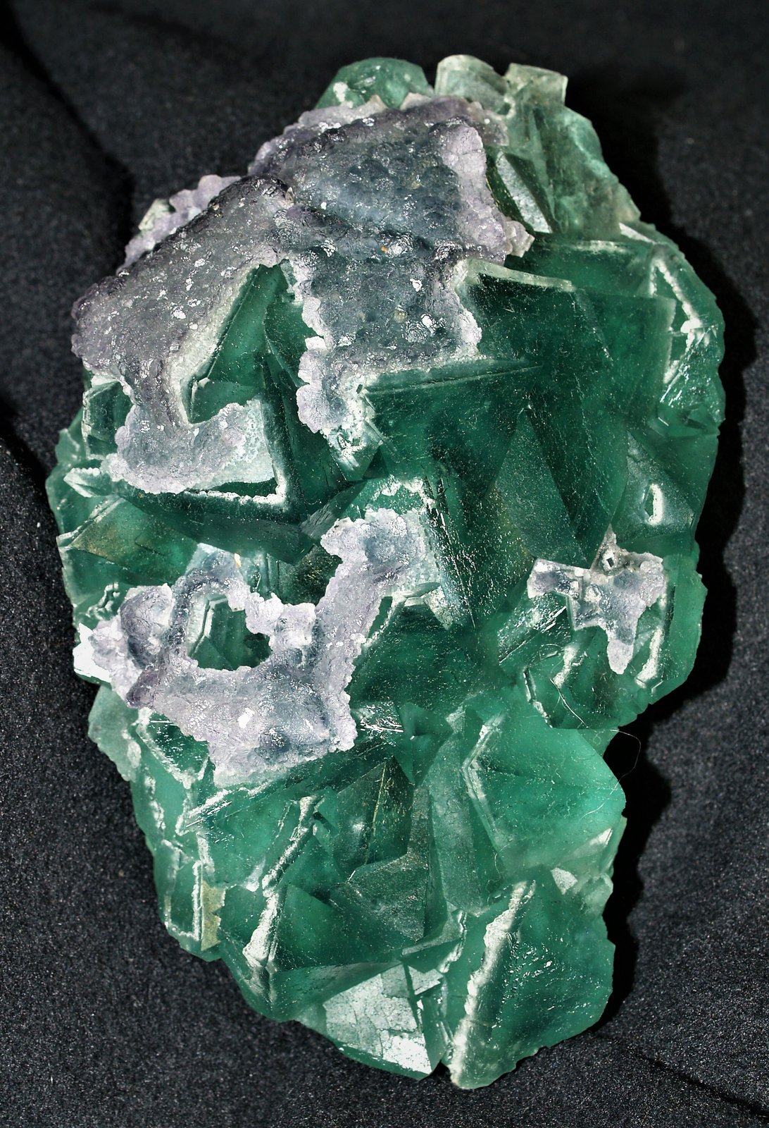 Fluorite
11x7x2.5 cm
(Autor: Joseph DOliveira)