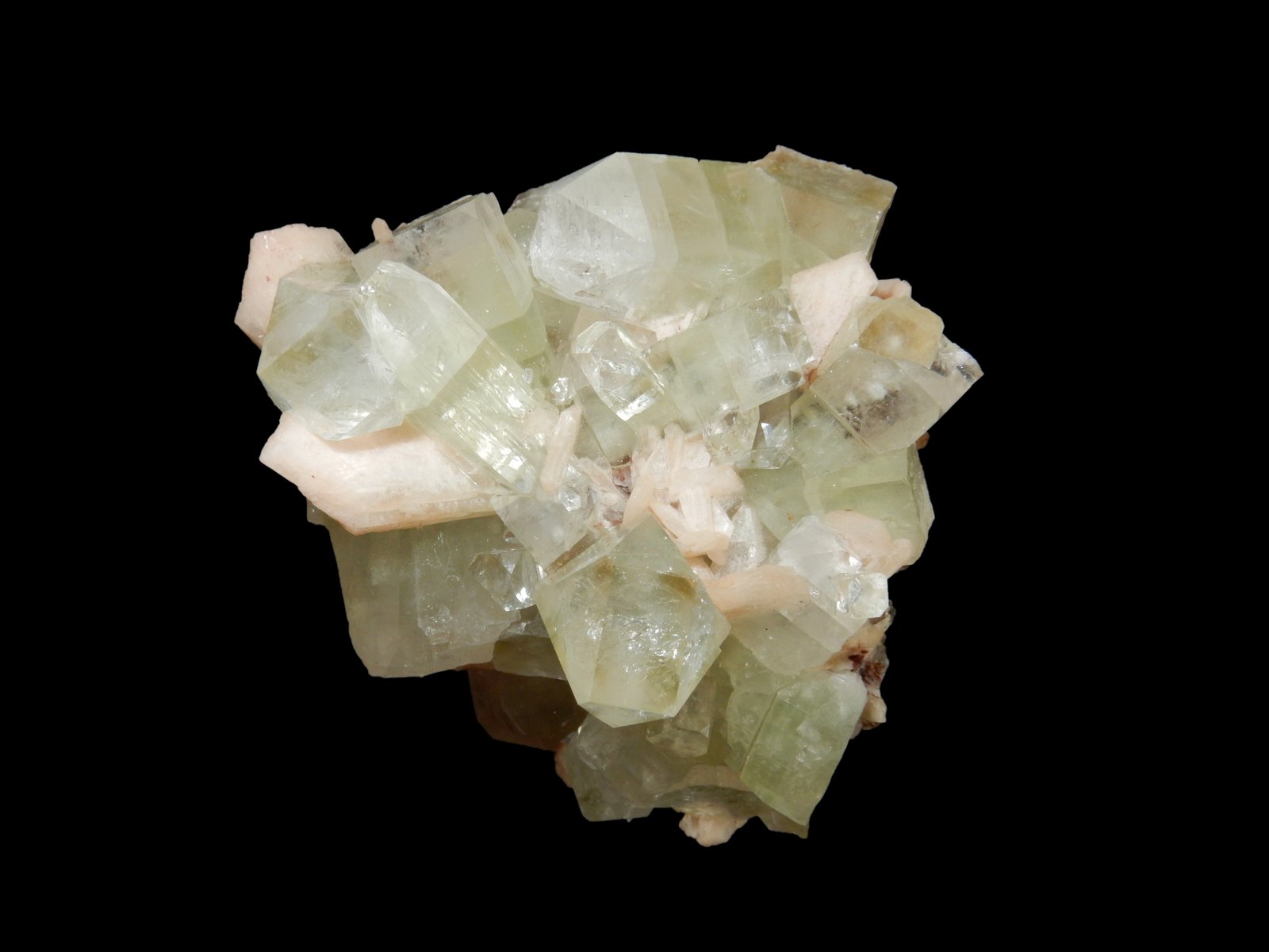 Fluorapophyllite-(K) and Stilbite-Ca
110 mm x 80 mm x 80 mm
(Autor: Dany Mabillard)