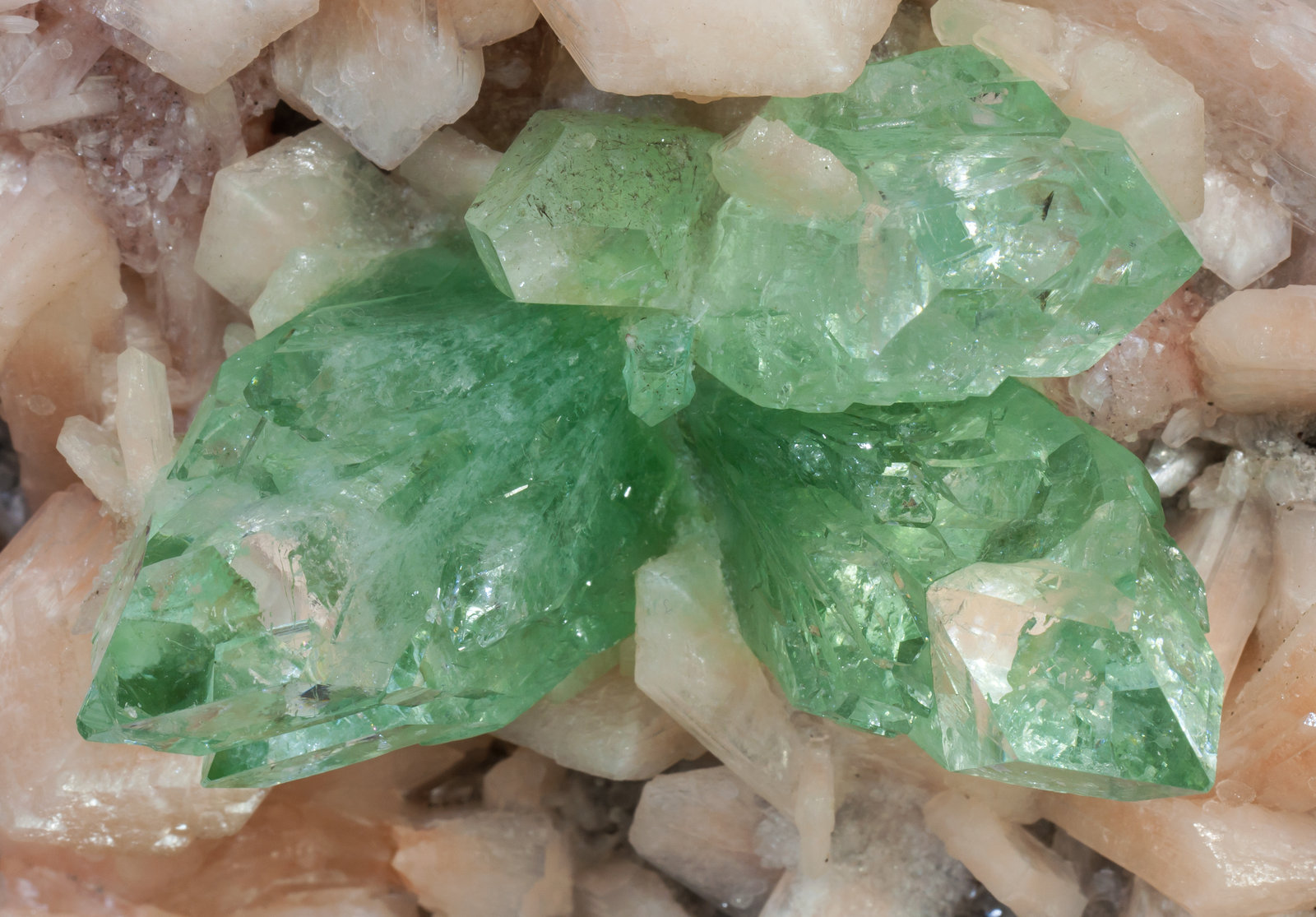 Fluorapophyllite-(K) with Stilbite-Ca
main crystal size: 3.5 × 2 cm
(Autor: Jordi Fabre)