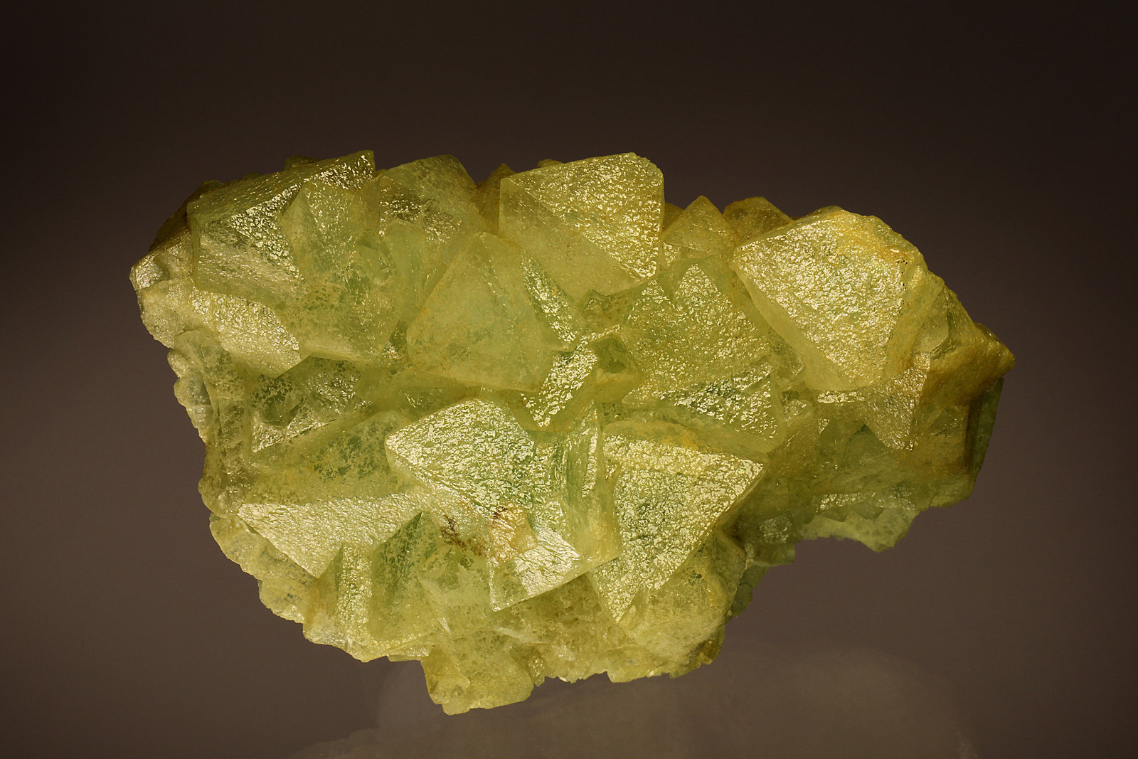 Fluorite
65 x 40 mm
(Autor: Gerhard Brandstetter)