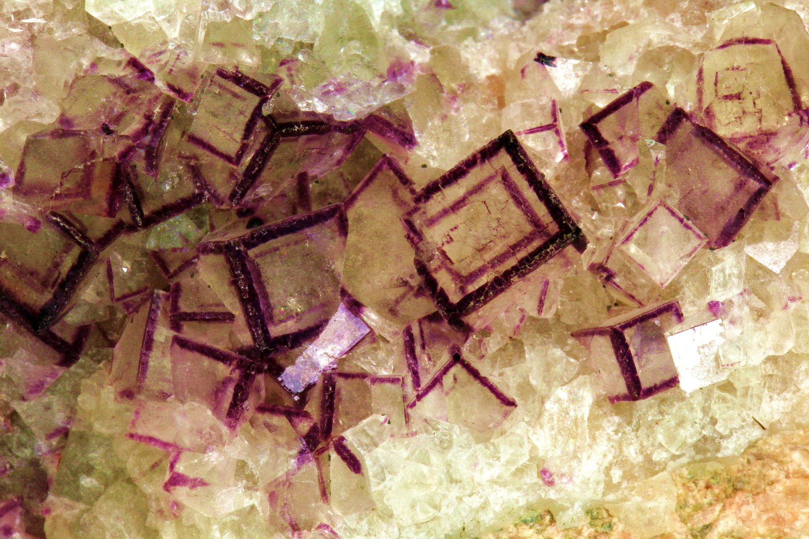 Fluorite
FOV 40 mm
(Autor: Gerhard Brandstetter)