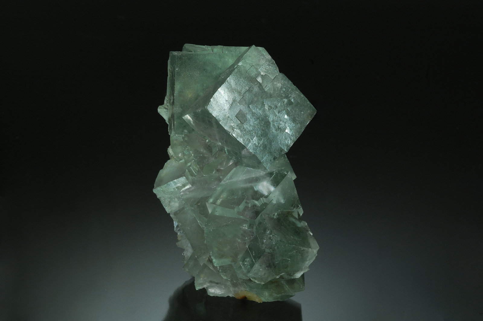 Fluorite
4.7 x 5.7 x 8.6 cm
(Autor: Michael Shaw)