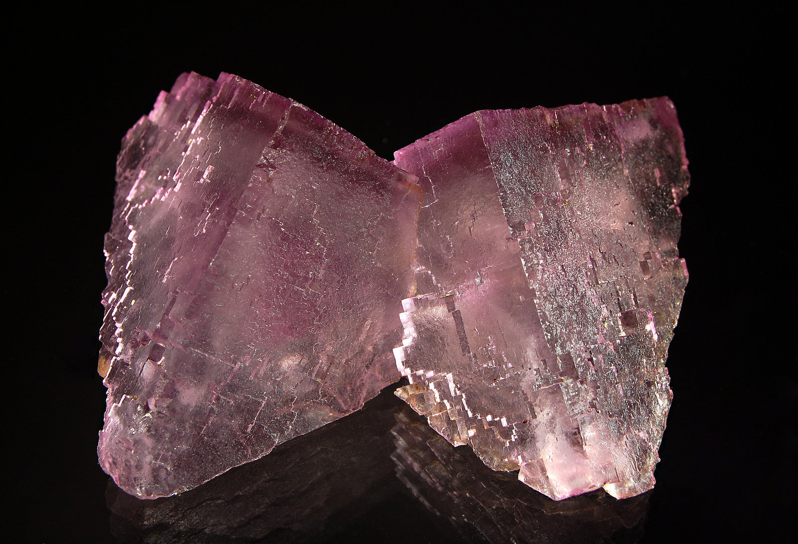 Fluorite
4.9 x 8.0 x 9.7 cm
(Autor: Michael Shaw)