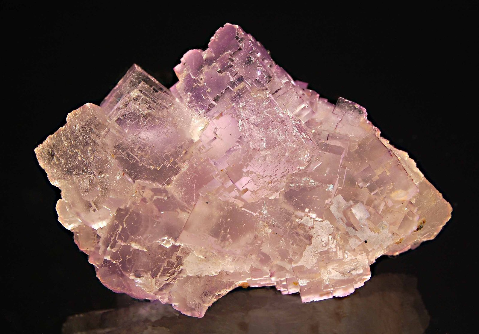 Fluorite
4.3 x 6.5 x 8.4 cm.
(Autor: Michael Shaw)