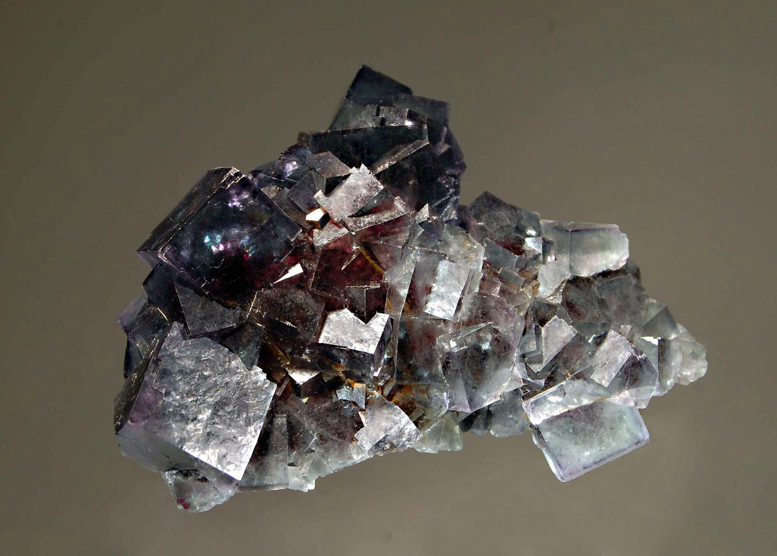Fluorite
5.6 x 7.6 cm
(Autor: Michael Shaw)