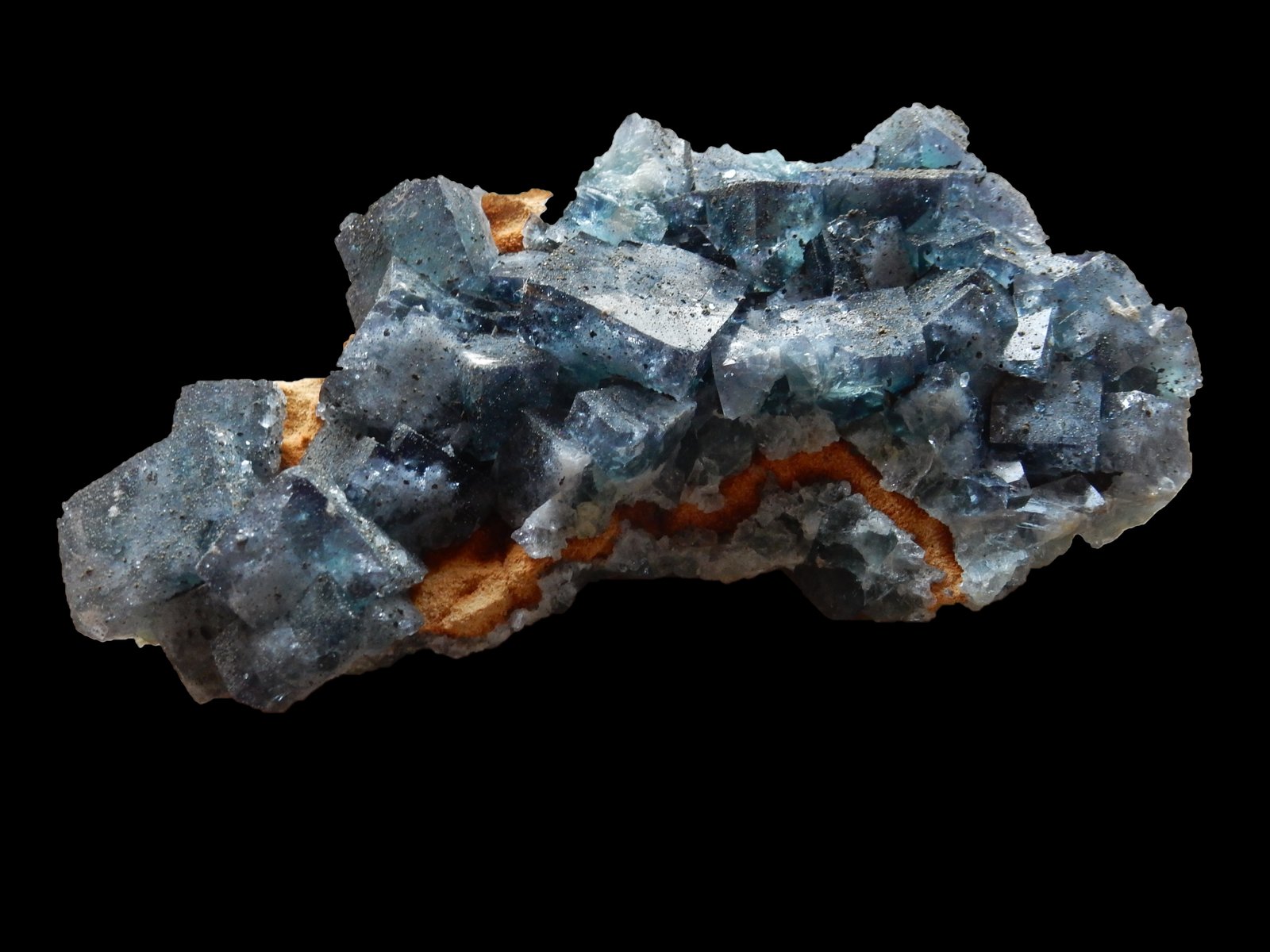 Fluorite and Pyrite
150 mm x 90 mm x 30 mm
(Autor: Dany Mabillard)