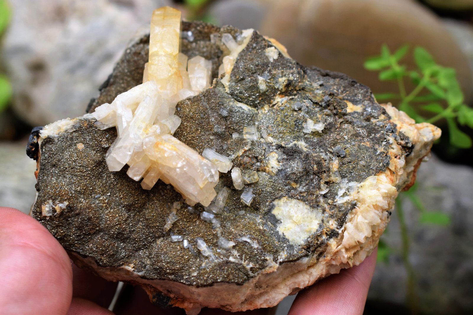 Fluorite, Baryte, Chalcopyrite
11.5 x 8 cm
(Autor: Deyu)