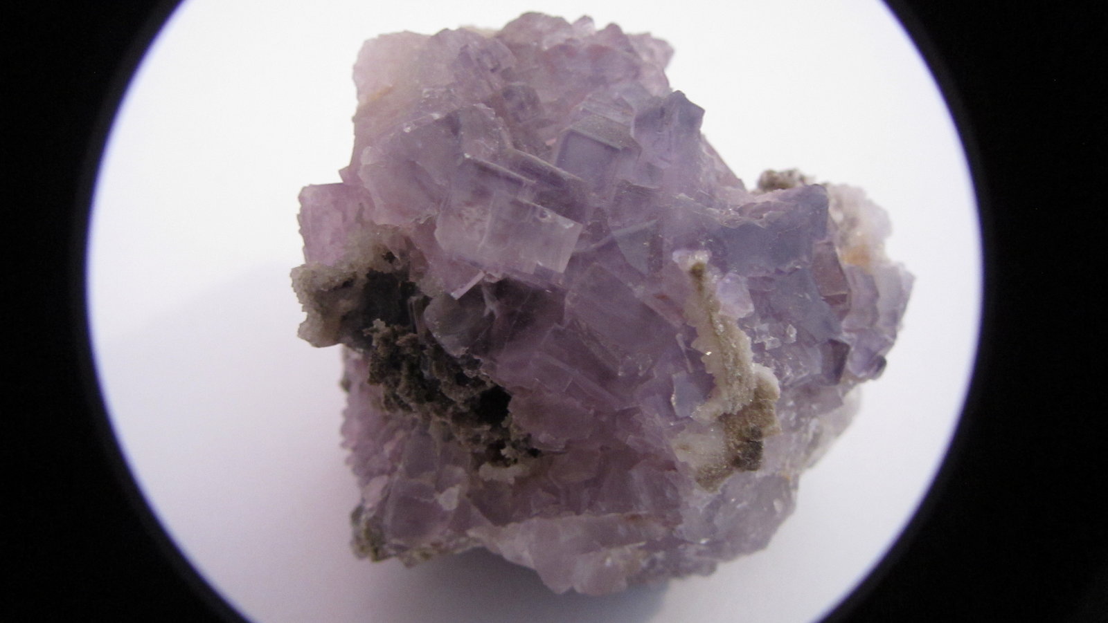 Fluorite
(Autor: antoniopedro)