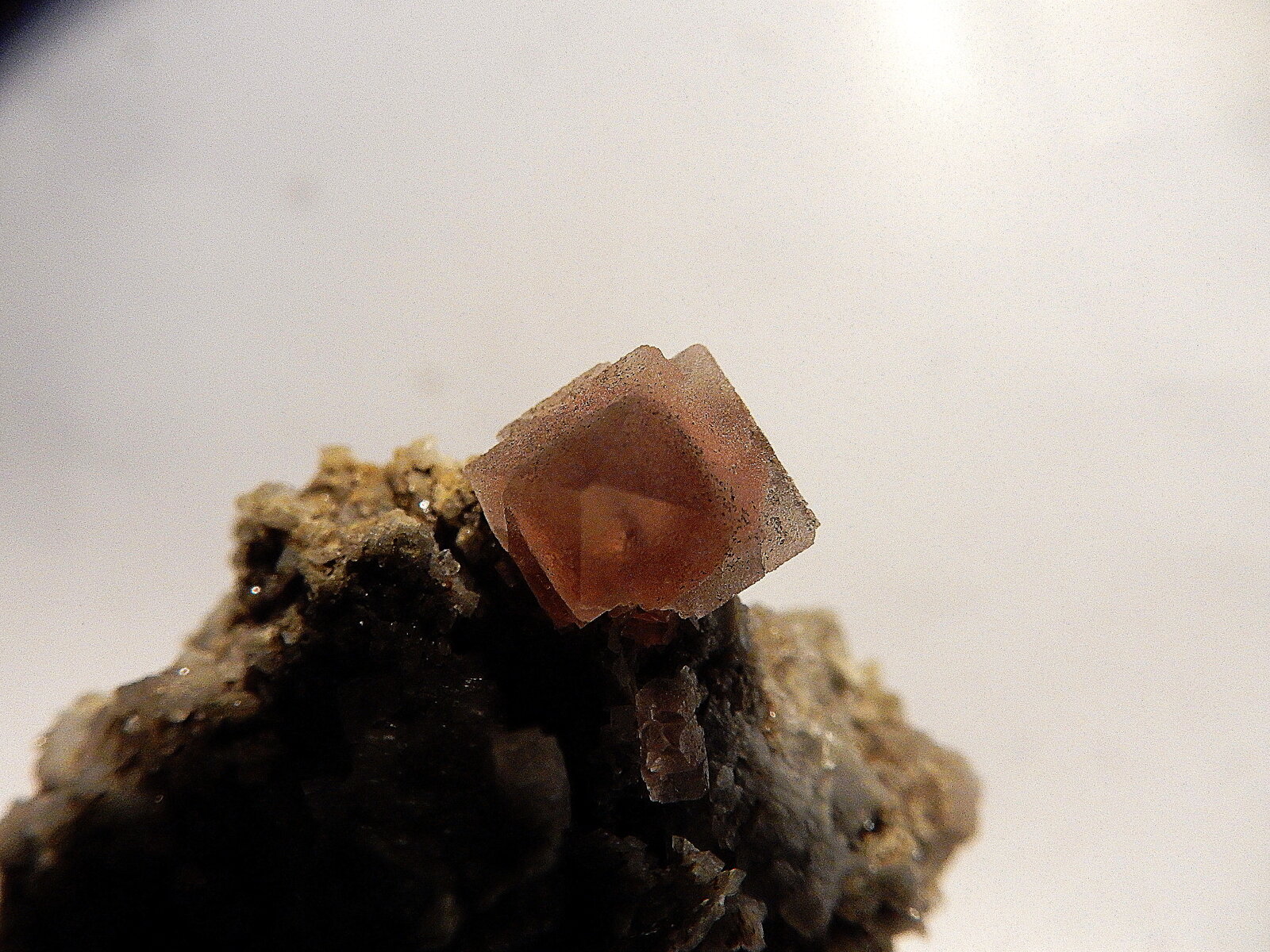 Fluorite
iguille du (Aiguille à) Bchard, Mont Blanc Massif, Chamonix-Mont-Blanc, Savoie, Auvergne-Rhône-Alpes, France
10 mm x 10 mm x 10 mm
(Autor: Dany Mabillard)