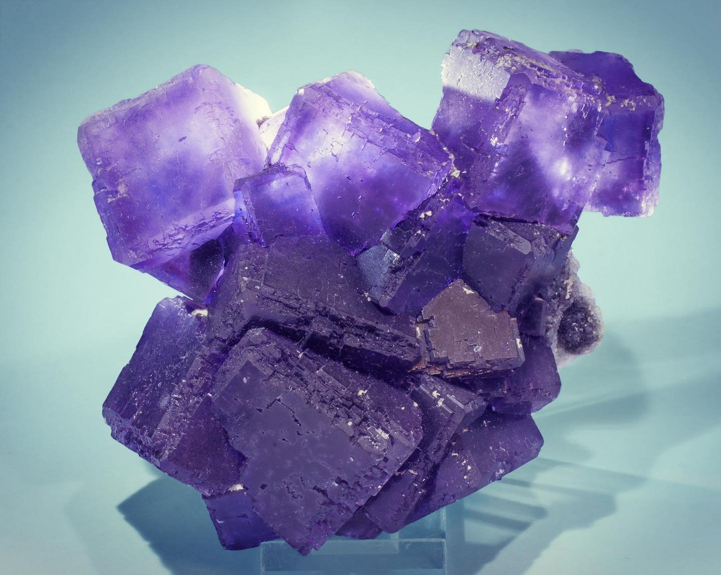 Fluorite
Specimen size: 13.4 cm × 9.8 cm × 6.5 cm / main crystal size: 4.3 cm × 4.1 cm
(Autor: Jordi Fabre)