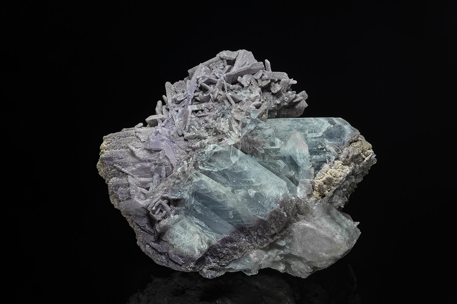 Fluorite, Celestine
Dundas Quarry complex, Hamilton (West Flamborough Township), Ontario, Canada
11.7 x 9.9 cm
(Autor: am mizunaka)