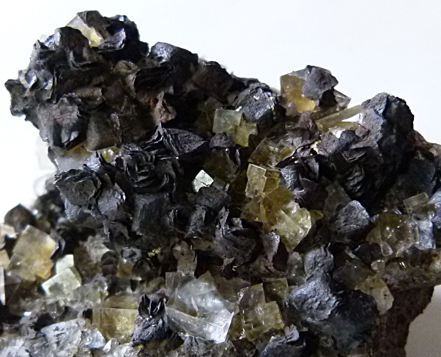 Fluorite (yellow), Goethite after Siderite
6x6x4.5cm 160g
(Autor: captaincaveman)