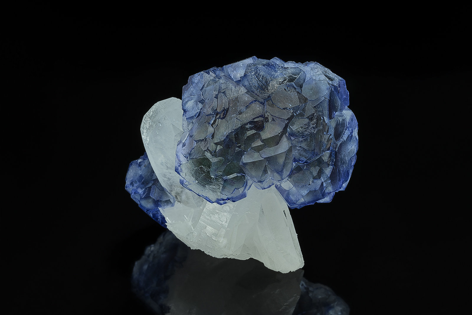 Fluorite, Quartz
5.8 x 5.1 cm
(Autor: am mizunaka)