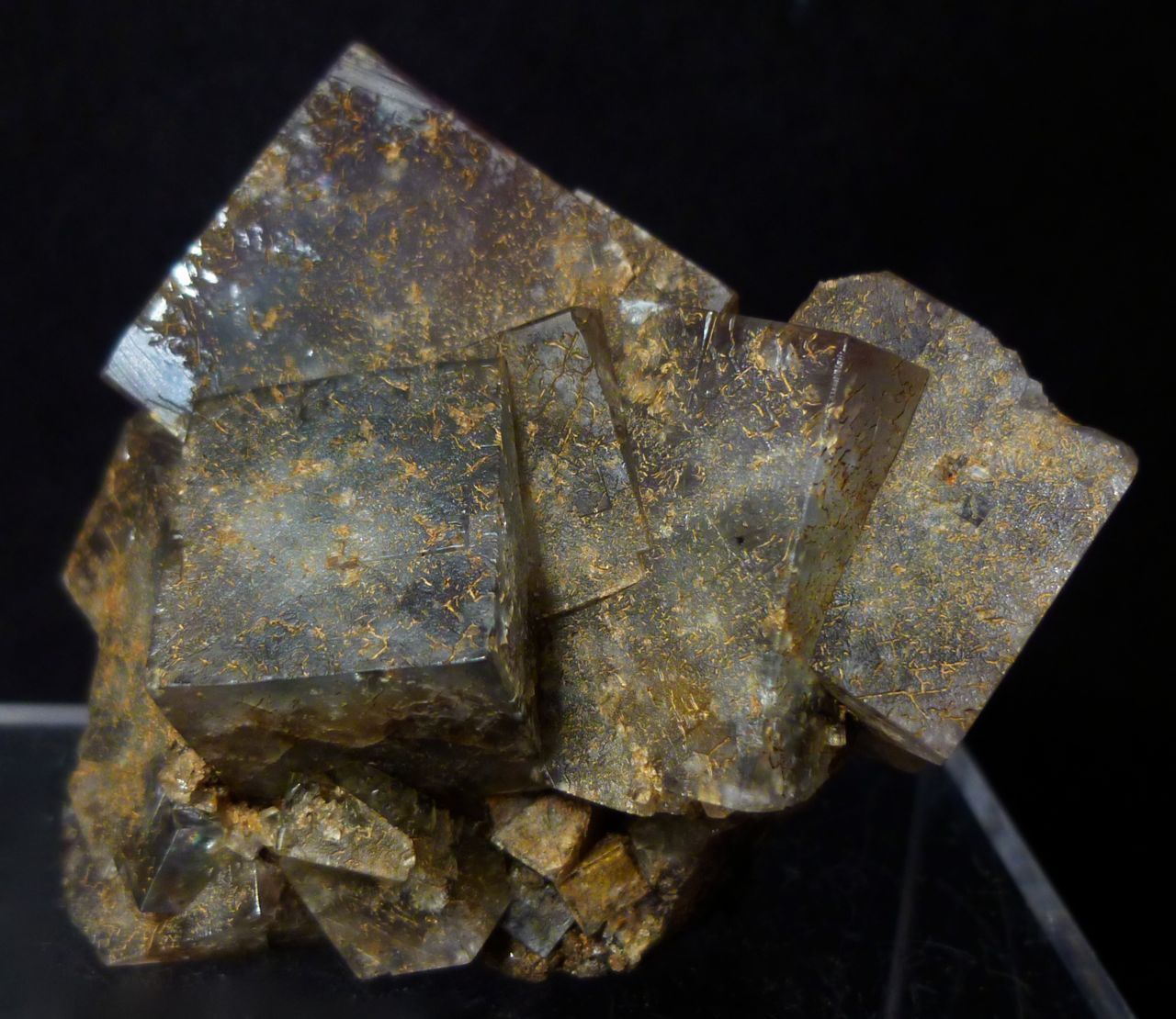 Fluorite
45x36x28 mm
(Autor: captaincaveman)