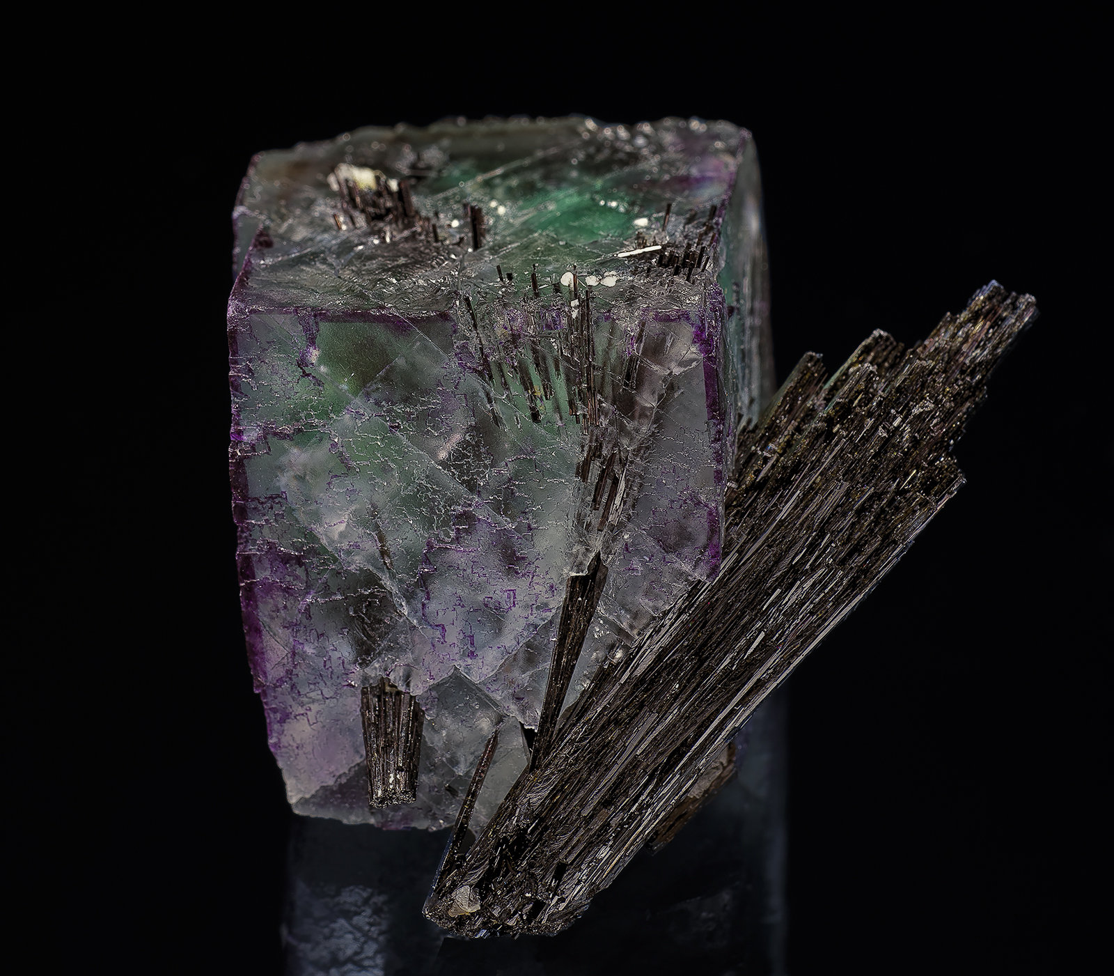 Fluorite, Schorl
3.9 x 3.0 cm
(Autor: am mizunaka)