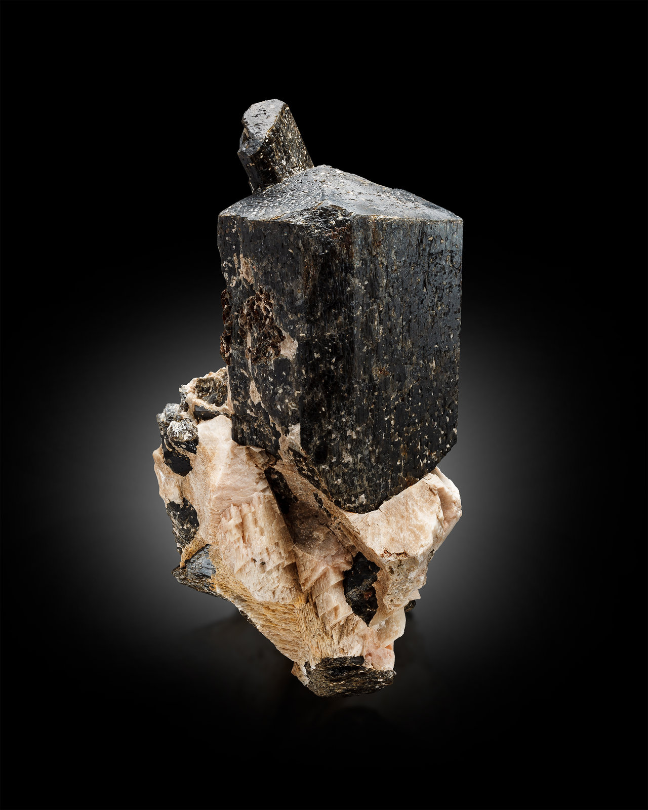 Fluoro-richterite
10 x 10 x 21.5 cm / main crystal: 10.6 cm
(Autor: MIM Museum)