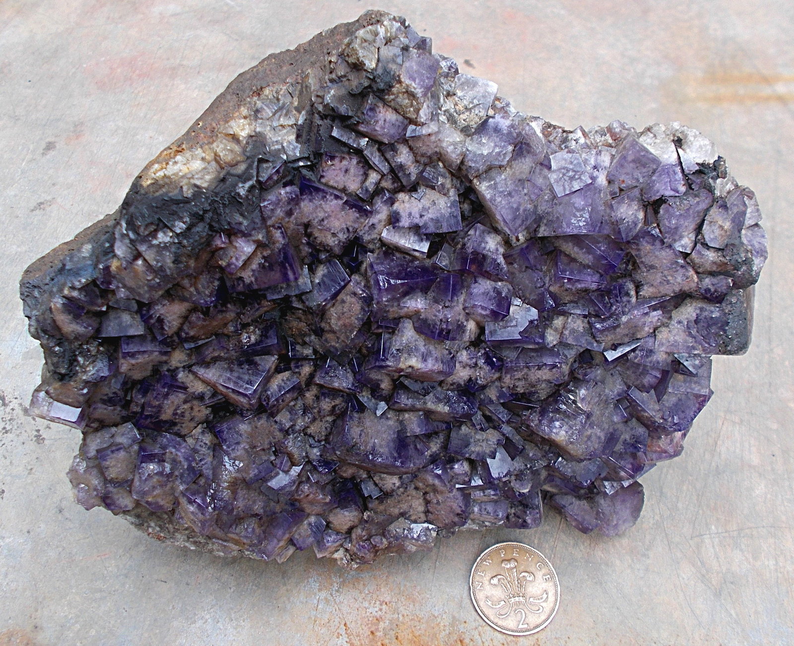 Fluorite
18cm
(Autor: colin robinson)