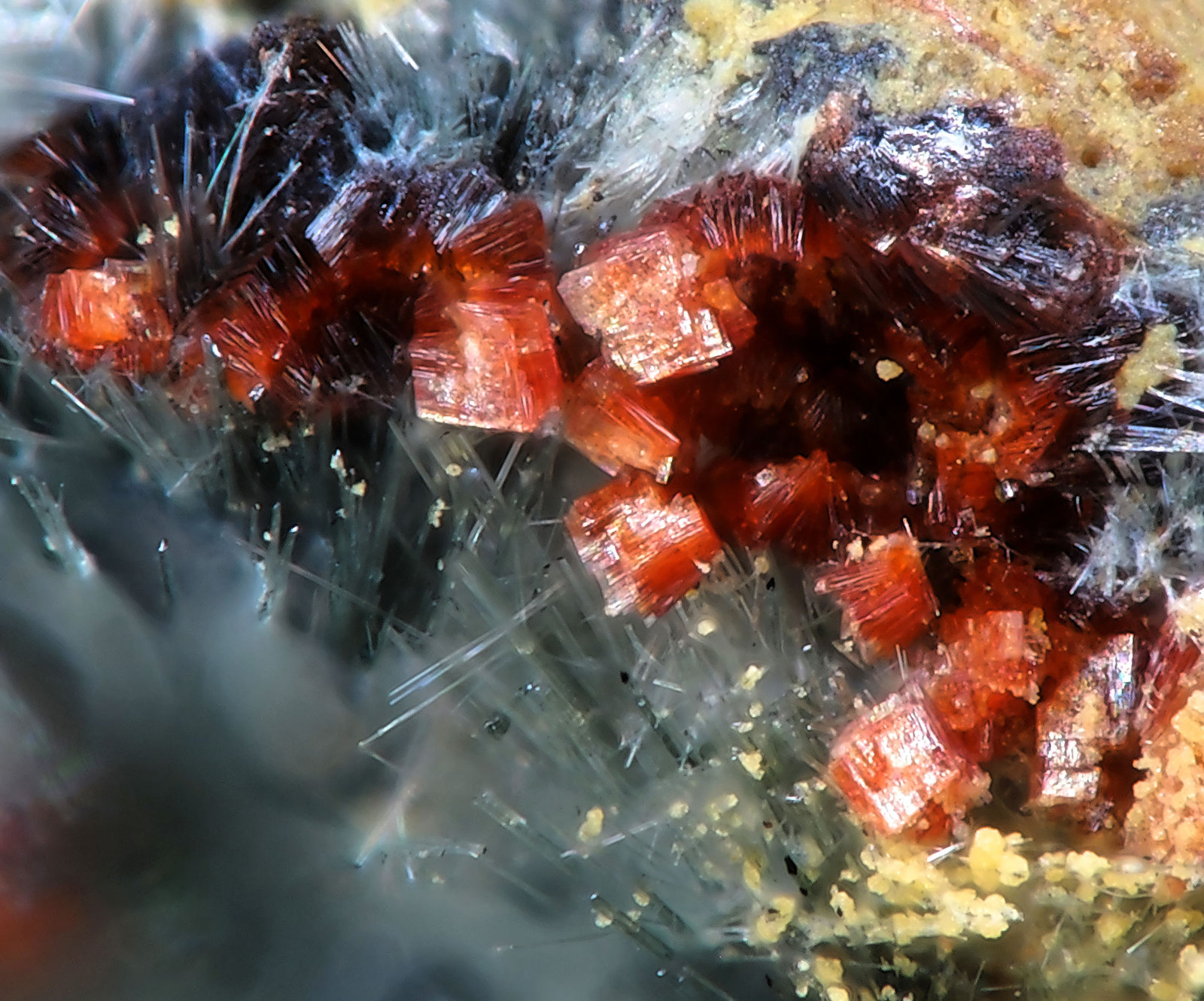 Flurlite
fov 1.4 mm
(Autor: Jordi Fabre)