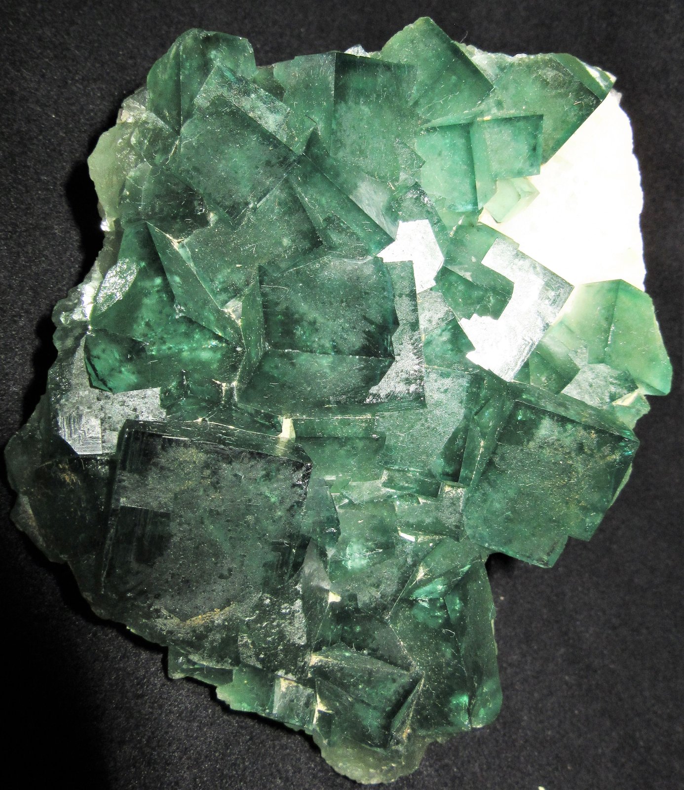 Fluorite
11x8.5x6 cm
(Autor: Joseph DOliveira)