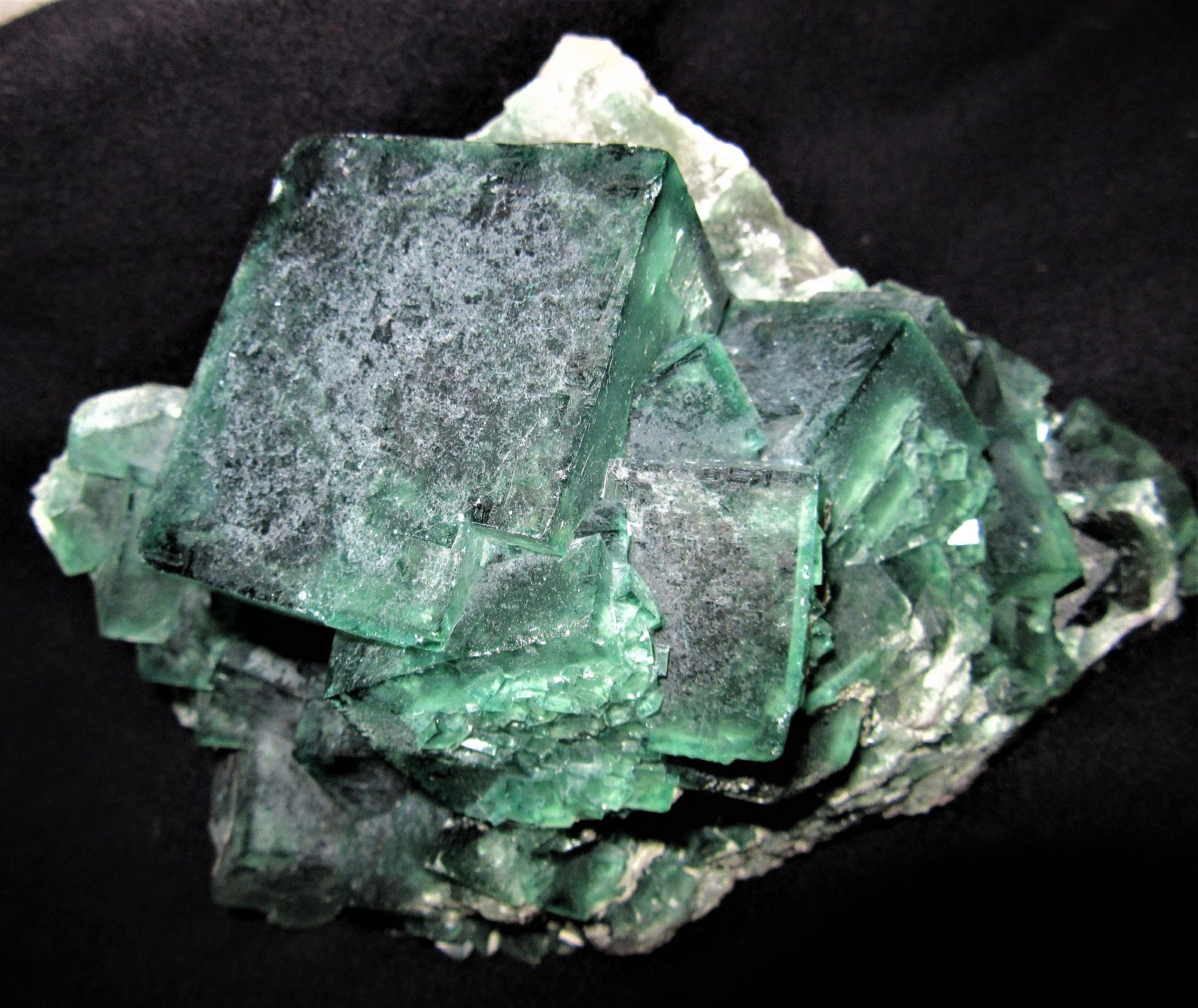 Fluorite
15x9x12 cm
(Autor: Joseph DOliveira)