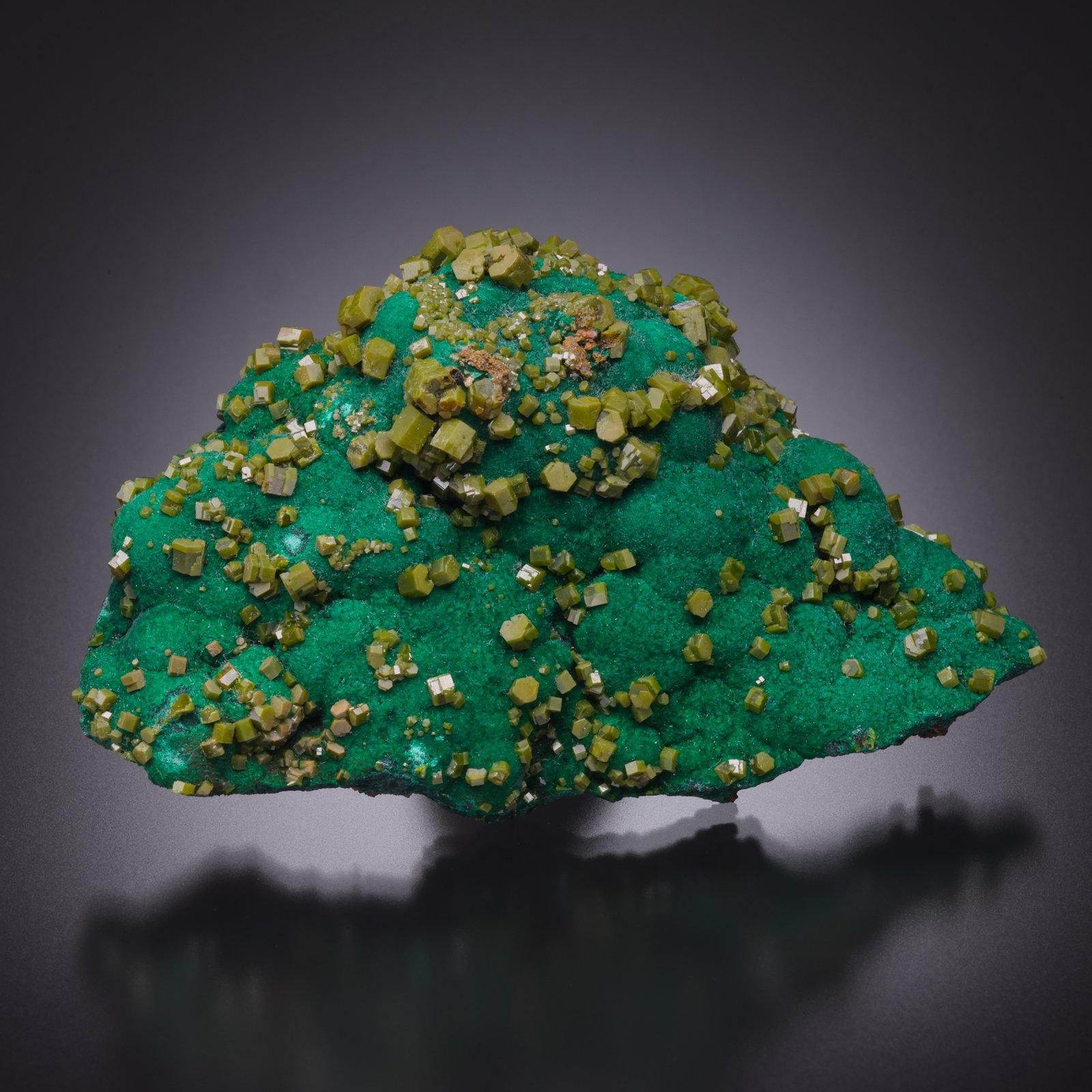 Pyromorphite, Malachite
6.1 cm x 4 cm x 2.6 cm
(Autor: Antonio Nazario)