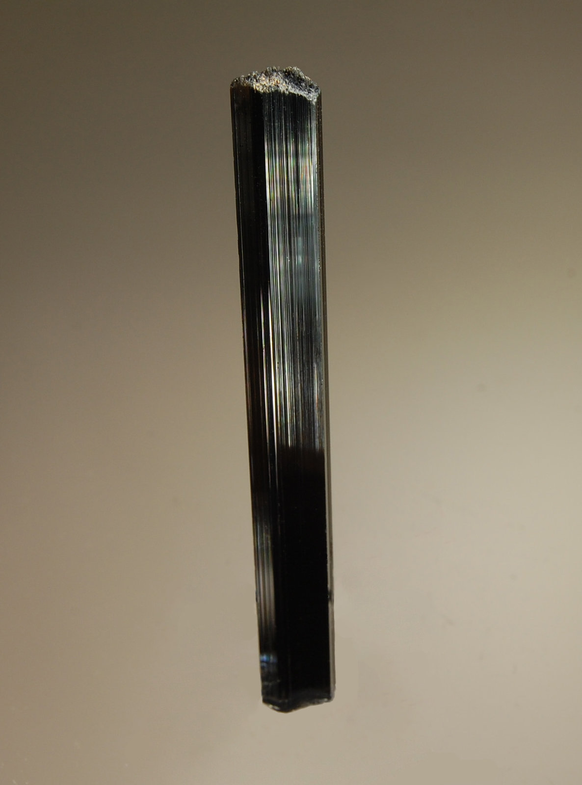 Foitite
1.0 x 8.0 cm
(Autor: Michael Shaw)