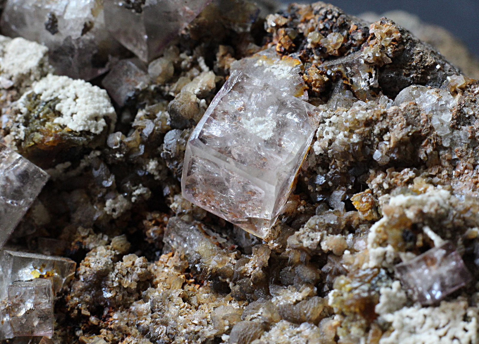 Fluorite
6mm
(Autor: colin robinson)