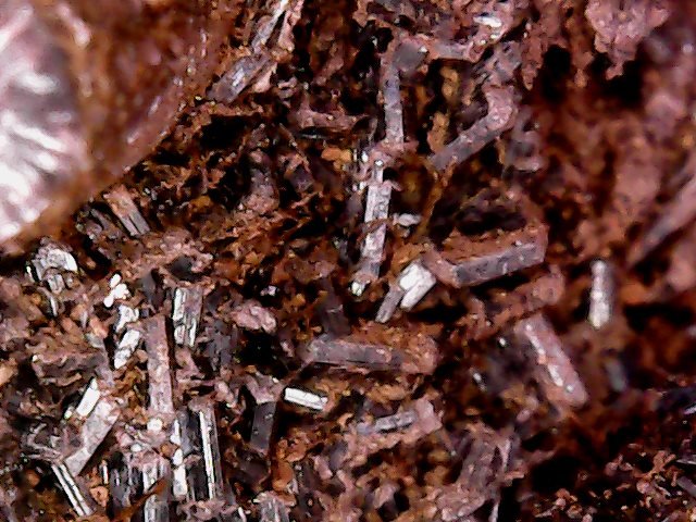 Goethite
Crystals with 1- 2mm
(Autor: Anísio Cláudio)