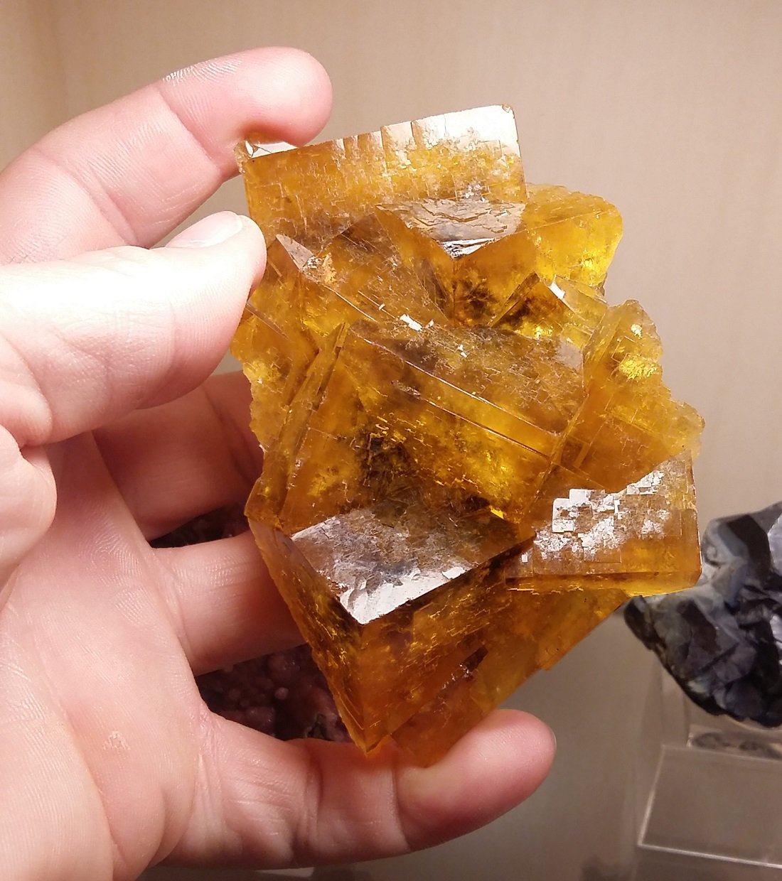 Fluorite
Specimen size 10 cm, largest crystals 4 cm
(Autor: Tobi)