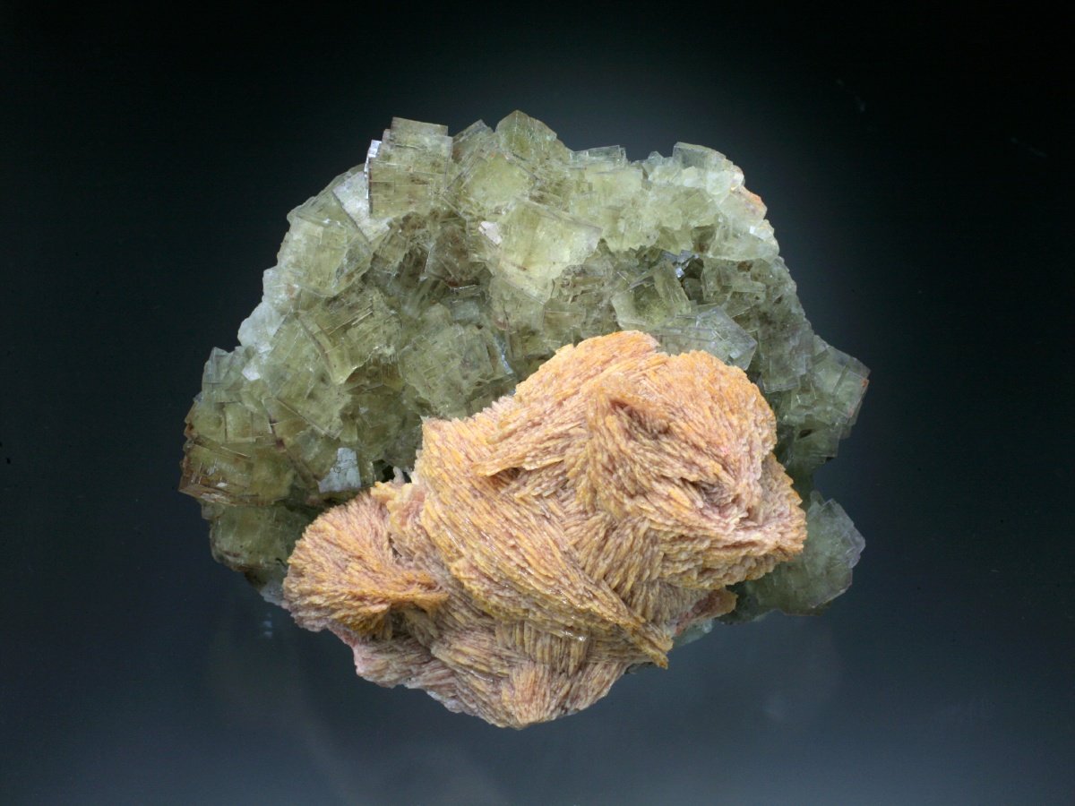 Fluorite with Barite
10x8x5 cm overall size
(Autor: Jesse Fisher)