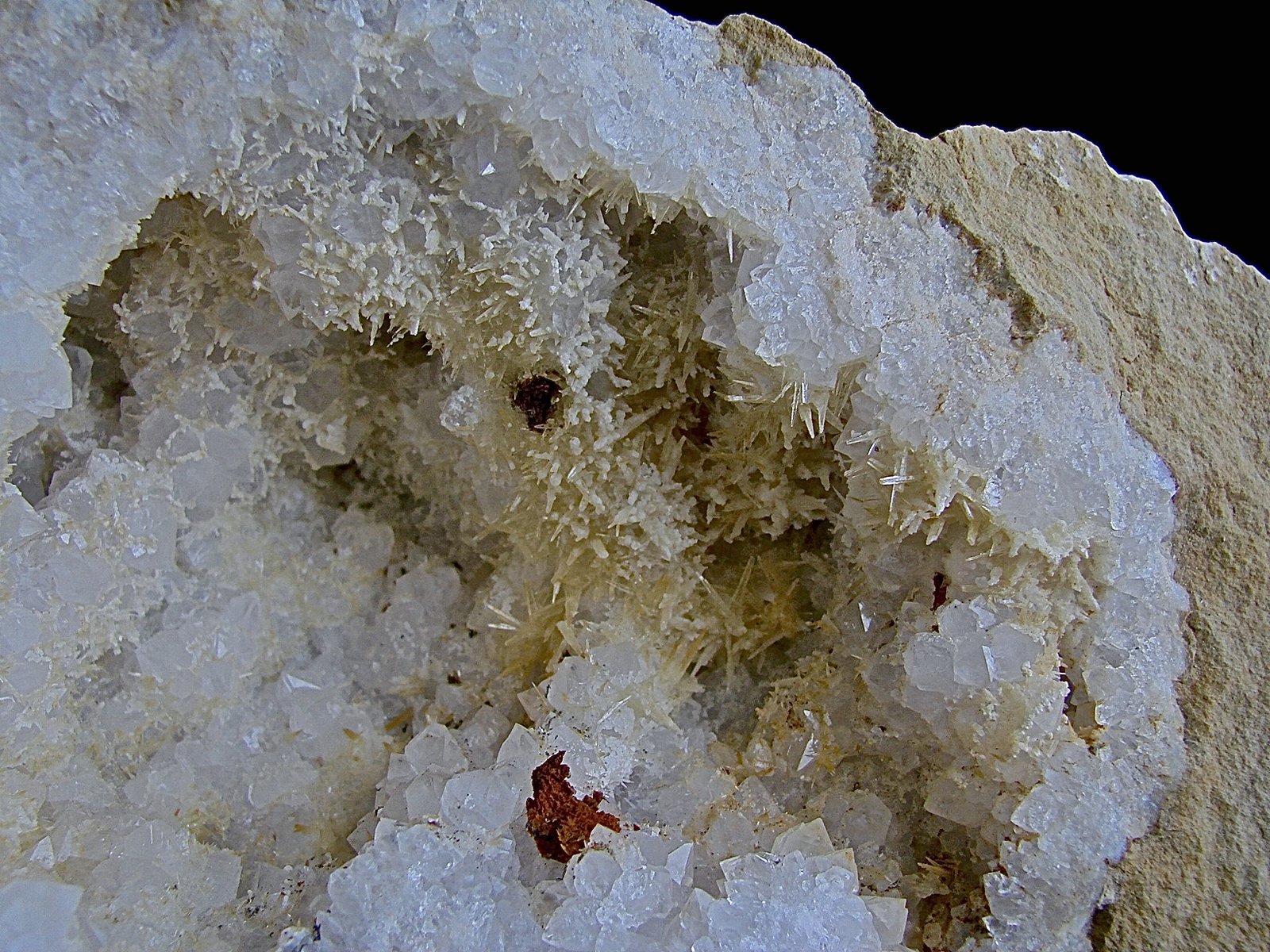 Aragonite on Quartz.
The aragonite needles are mostly from 4 mm - 6 mm
(Autor: Bob Harman)