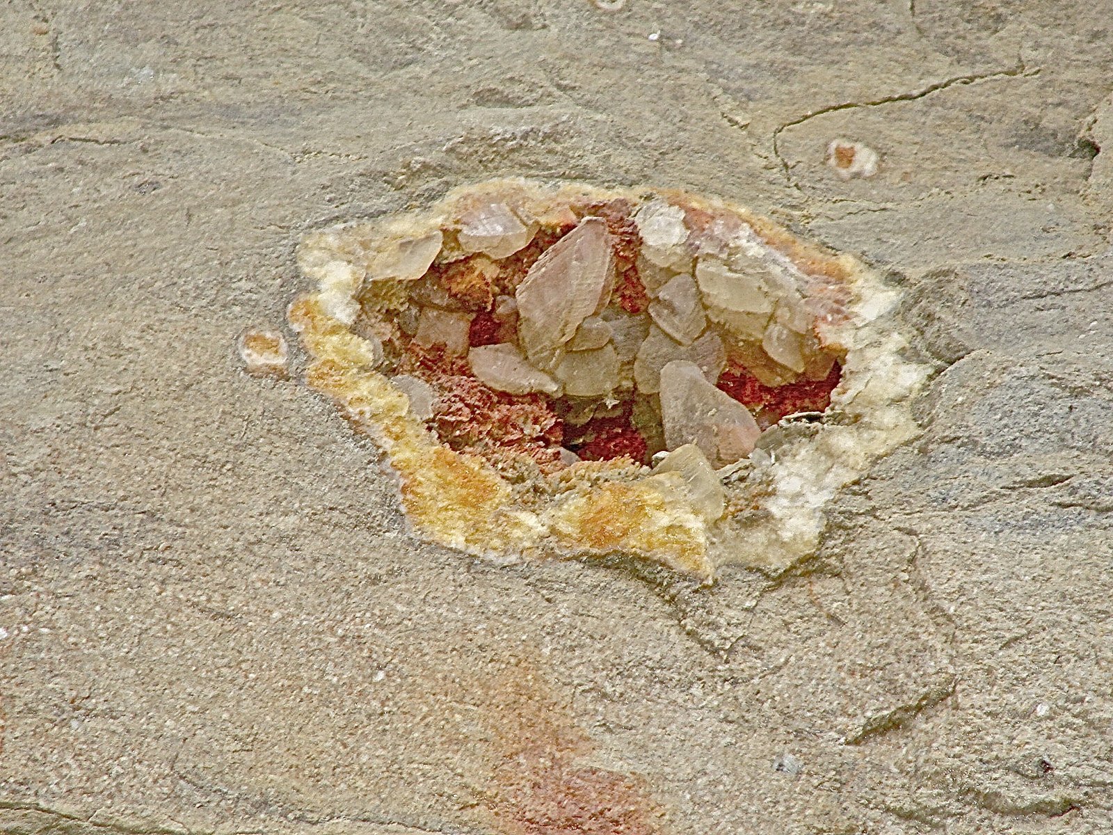 Calcite on Dolomite
geode is about 18 cm   calcites are 6 - 7 cm
(Autor: Bob Harman)
