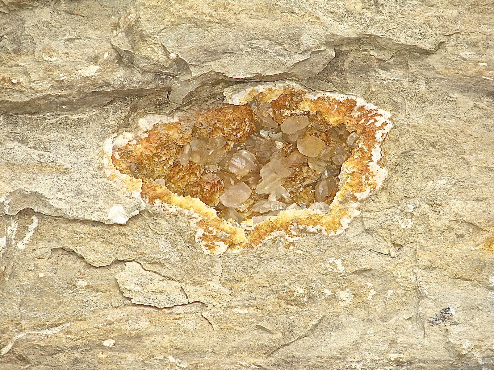 Calcite on Dolomite
oval geode about 17cm x 11cm
(Autor: Bob Harman)