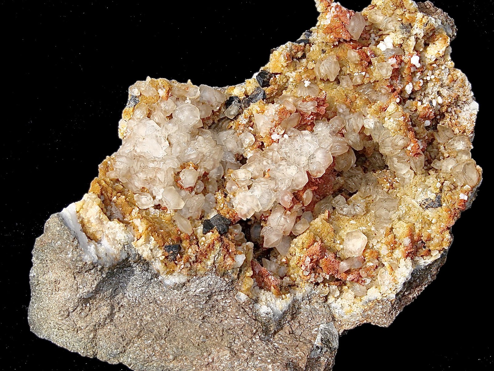 Sphalerite, Calcite and Dolomite with Quartz
Specimen is 12 cm. The sphalerite is up to 1 cm. The calcite is up to 1 cm.
(Autor: Bob Harman)