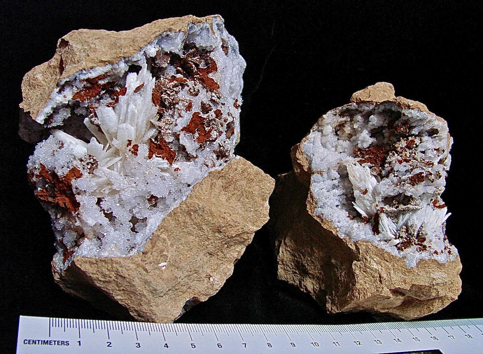 Aragonite on Quartz
the diverging aragonite sprays are 2 cm - 3 cm.
(Autor: Bob Harman)