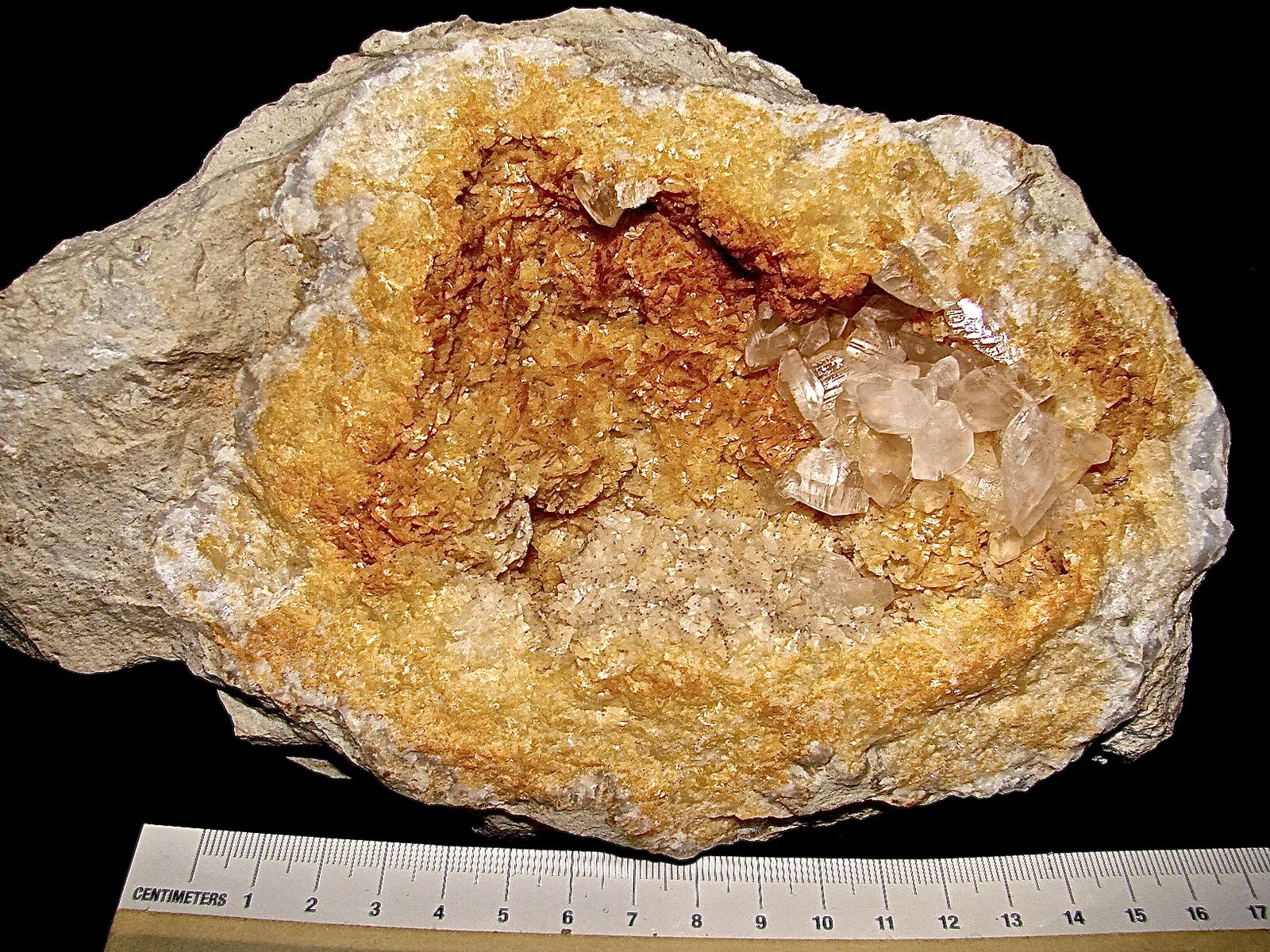 Calcite on Dolomite
Oval example 16 cm x 12 cm. Calcites up to 1.3 cm
(Autor: Bob Harman)