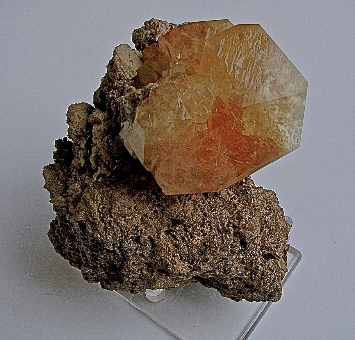 Calcite
Calcite is 7 cm on a 10.5 cm specimen
(Autor: Bob Harman)