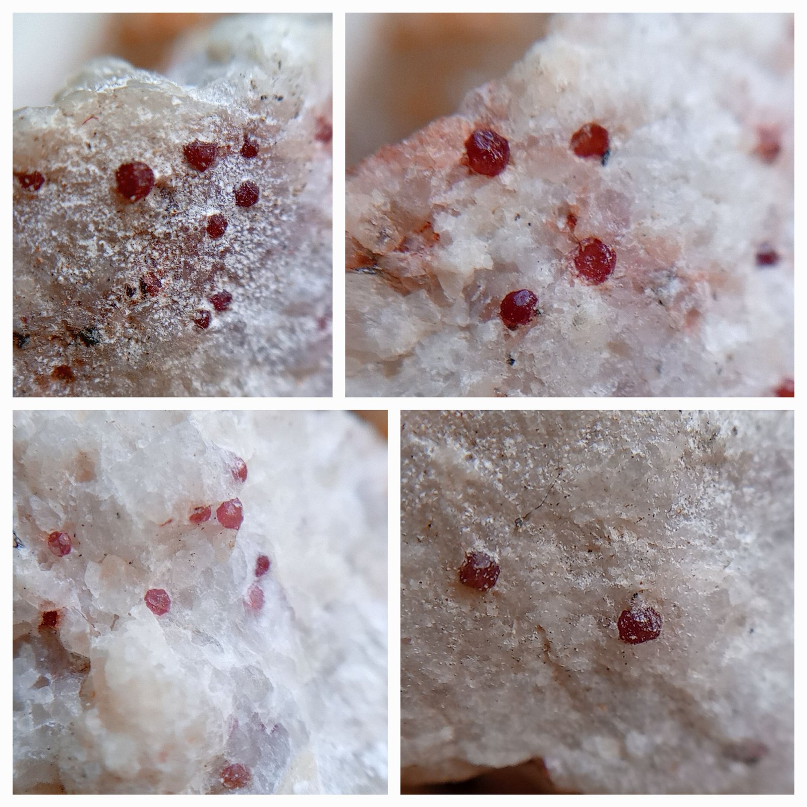 Almandine Garnet
1.5/1 mm
(Autor: mineralenzo)