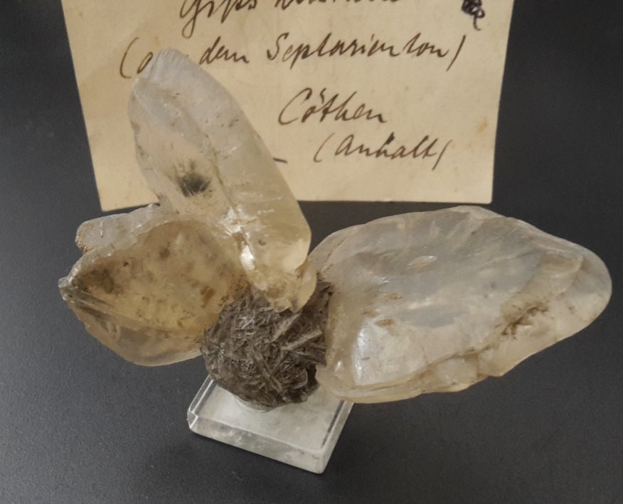 Gypsum
6,5 x 4,5 cm
(Autor: Andreas Gerstenberg)