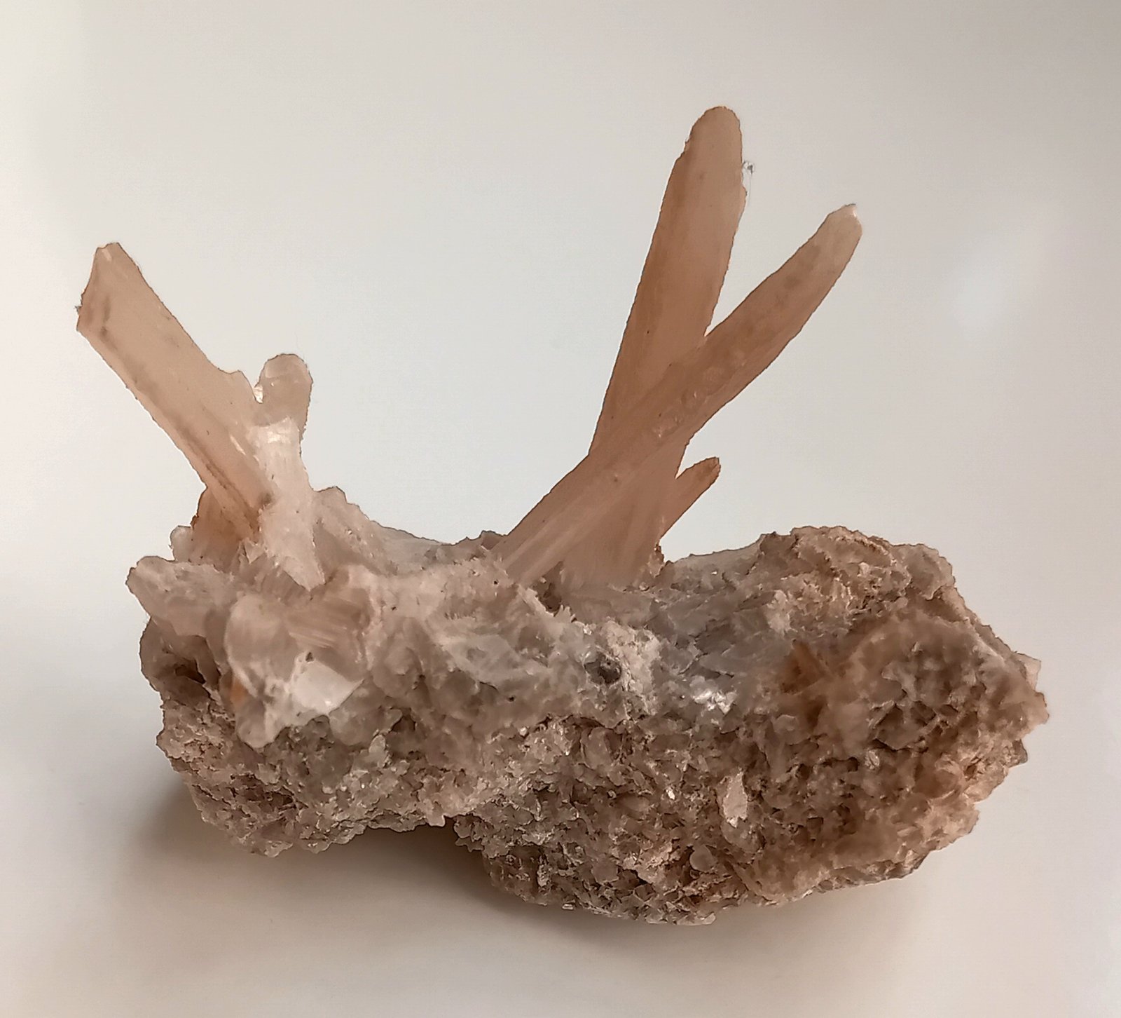 Gypsum
6x4.5x4 cm (xx 0.3/0.5x4 cm max)
(Autor: mineralenzo)