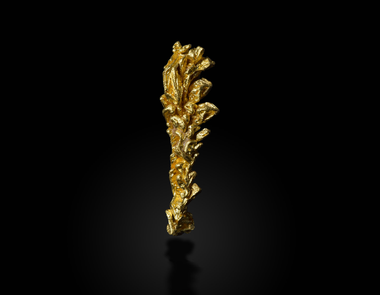 Gold
3.5 cm
(Autor: dontgogreen)