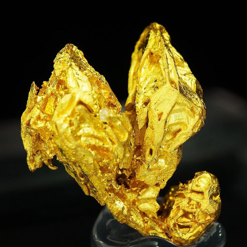 Gold
Specimen size: 1.1 × 0.9 × 0.5 cm /  main crystal size: 1 × 0.3 cm
(Autor: Jordi Fabre)