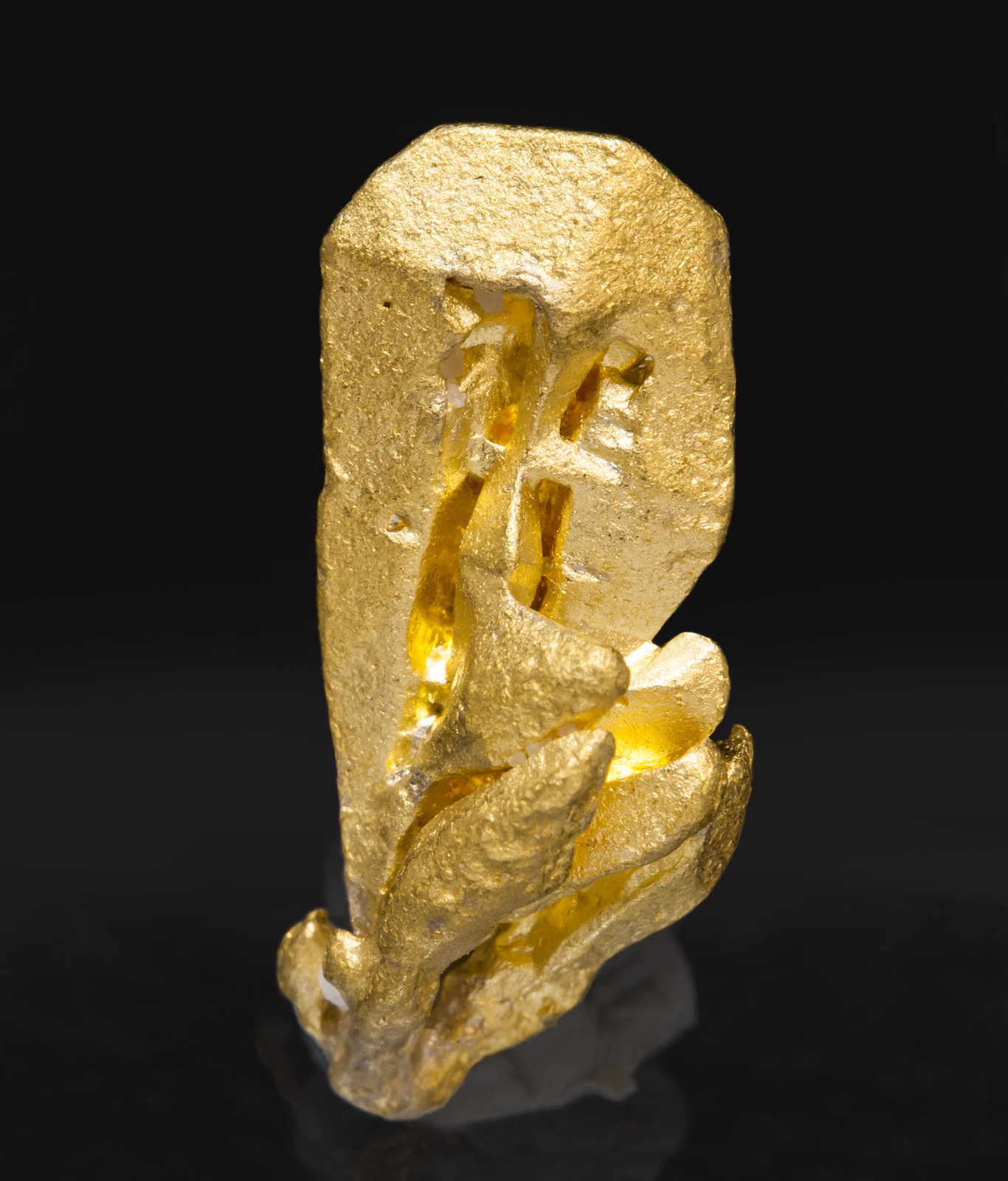 Gold
1.3 × 0.5 × 0.5 cm
(Autor: Jordi Fabre)